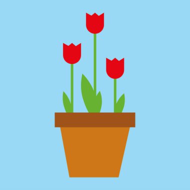 tulip flowers in the pot, web illustration