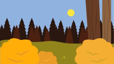 forest scene with trees and moon landscape vector illustration