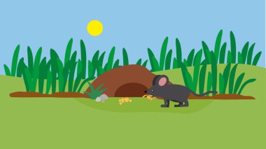 Tatlı bir yaban domuzu çizgi filmi.