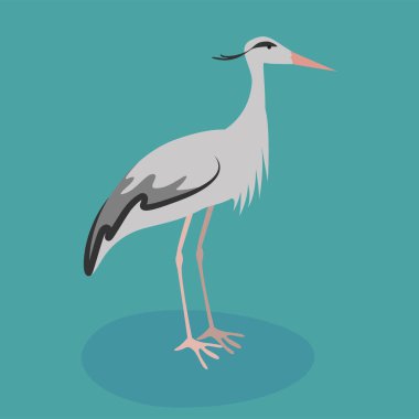 stork bird vector illustration