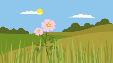 vector illustration of a field with a landscape of grass and a flower