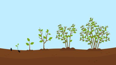 trees, nature landscape. vector illustration