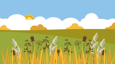 illustration of wild field and green grass