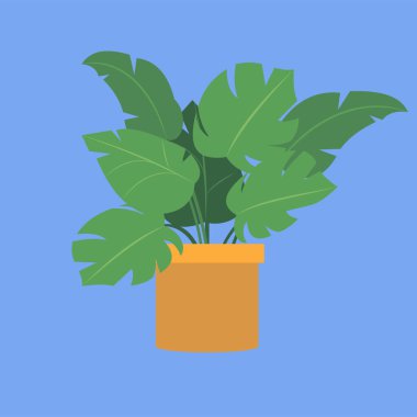 Esrar vektör illüstrasyon tasarımında saksı bitkisi