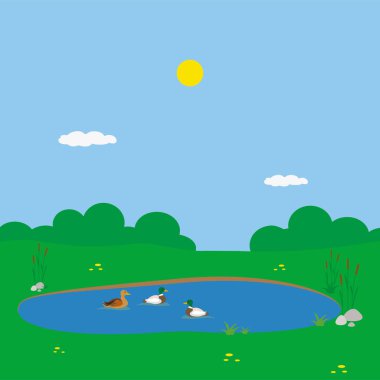 vector illustration of a green field with a lake and ducks