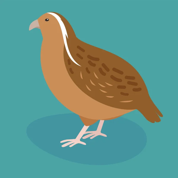 Partridge Bird Icon Flat Design Style — Stock vektor