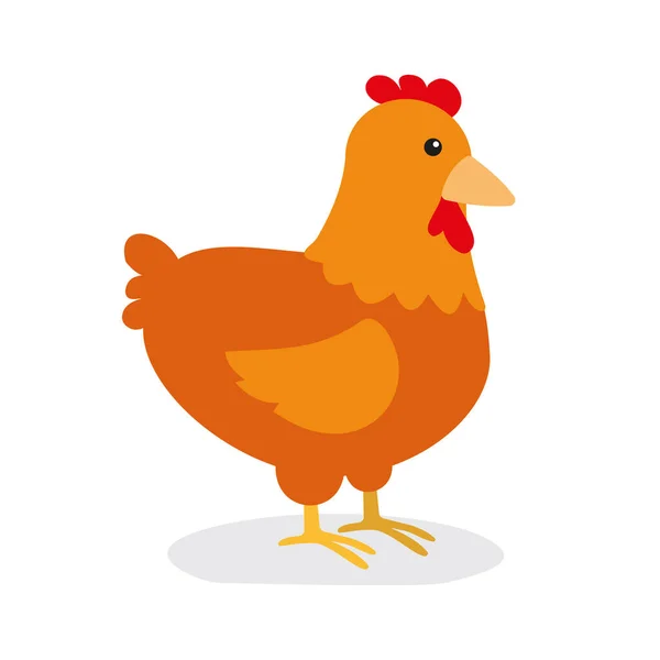 Chicken Web Icon Illustration — Stock Vector