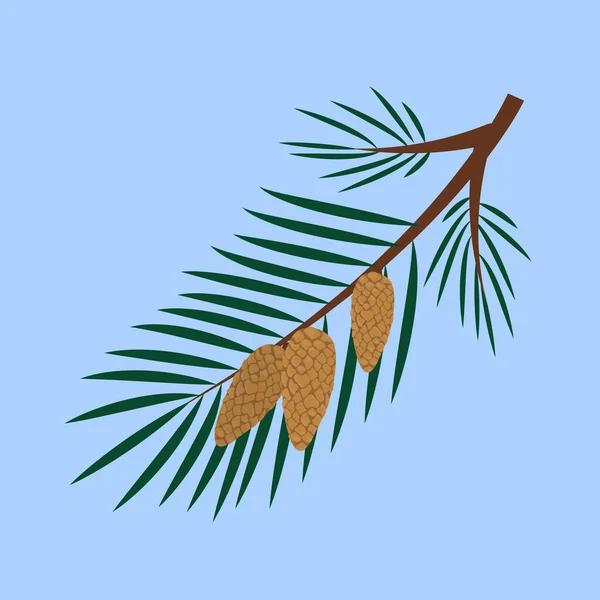 Pine Cones Branch Blue Background — Stockvektor
