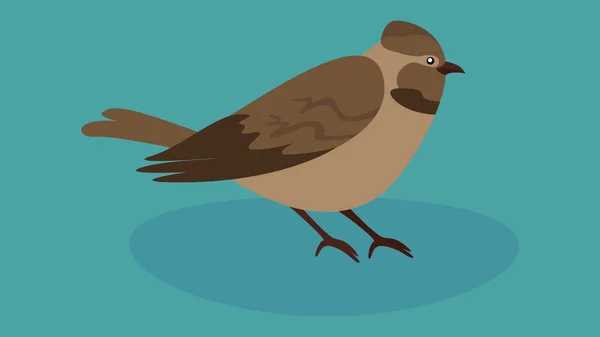 Bird Icon Illustration Design — Stock vektor