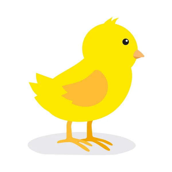 Cute Chick Web Simple Illustration — Archivo Imágenes Vectoriales