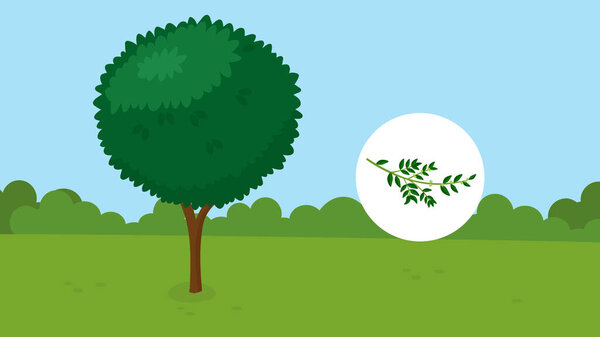 green trees in the park, vector illustration