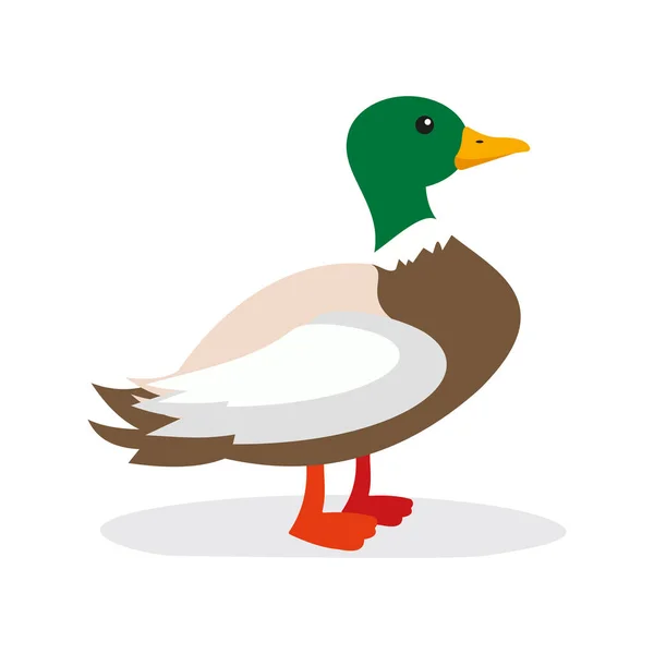 Duck Icon Illustration Flat Design — Stock vektor