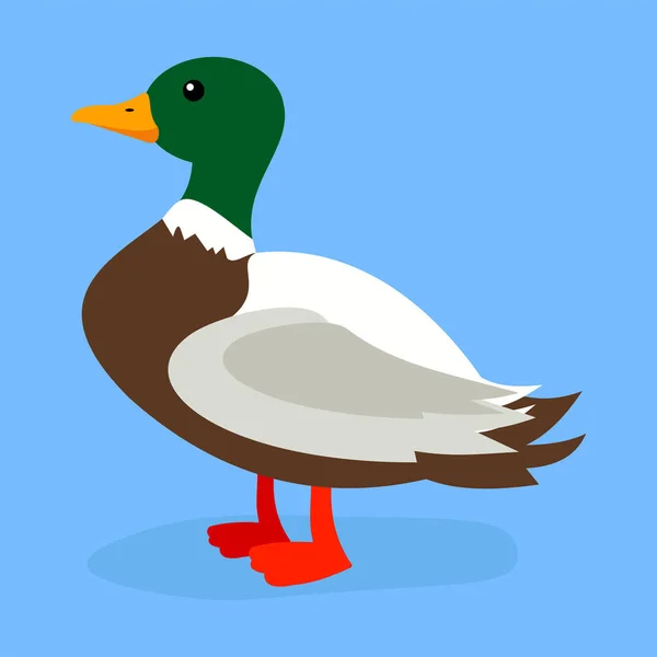 Duck Icon Flat Illustration Bird Vector Icons Web Design — стоковый вектор