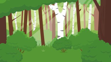 forest landscape with trees and green bushes
