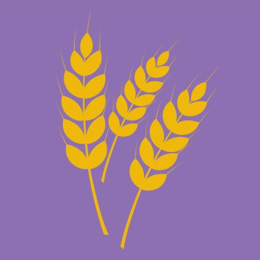 wheat ears. flat design style. web illustration.