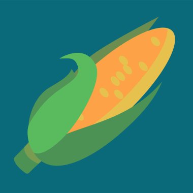 vector illustration of corncob icon