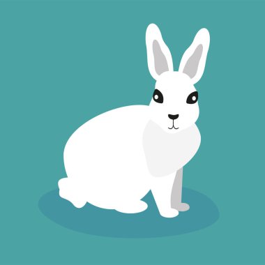 cute rabbit with ears icon web illustration design
