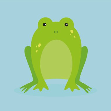 mavi arkaplanda yeşil kurbağa