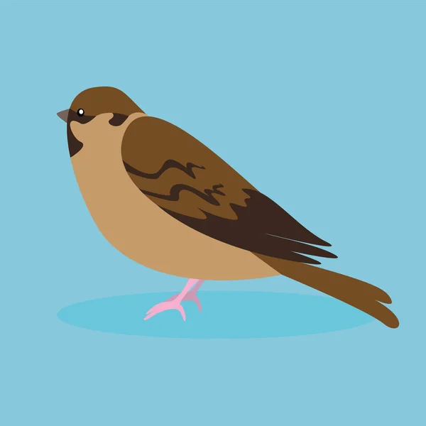 Web Simple Illustration Cute Bird — Stock vektor
