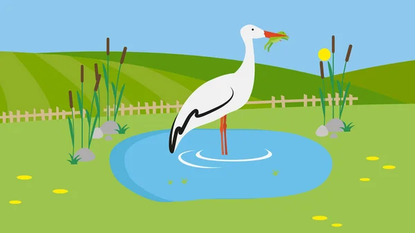 Stork Bird Lake Cartoon Vector Illustration Graphic Design — Stock vektor