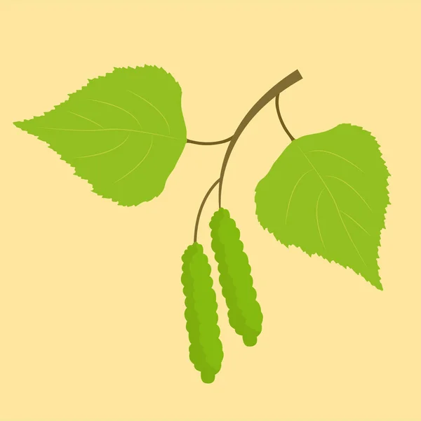 Green Branch Birch Tree Vector Illustration — Stock Vector