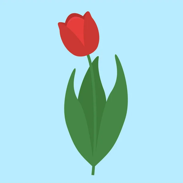 Beautiful Tulip Flower Icon Web Illustration Graphic Design — Stok Vektör