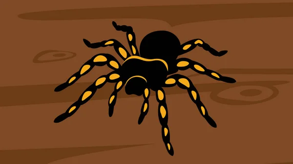 Halloween Background Spider Soil — Vetor de Stock