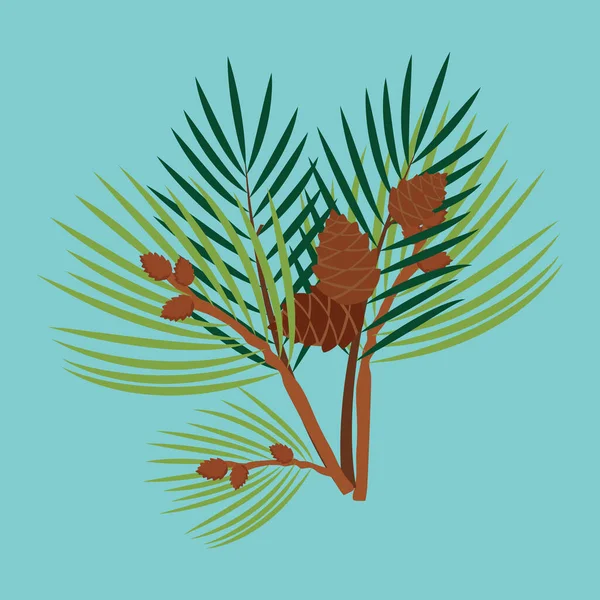 Vector Illustration Pine Cones Tree Brances — Stock Vector