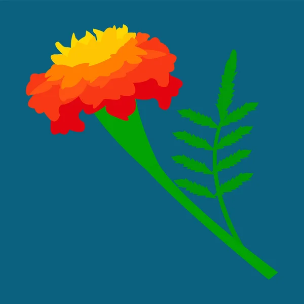 Vector Illustration Beautiful Summer Flower — Stock Vector