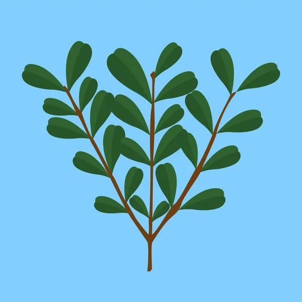 Green Leaves Icon Vector Illustration — Stock Vector