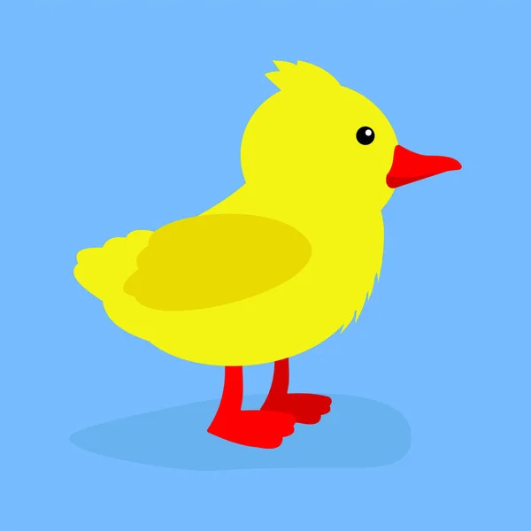 Vector Illustration Cute Yellow Duckling — Stock Vector