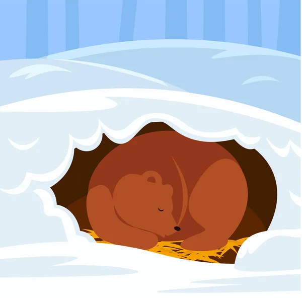 Aranyos Medve Alszik Hóban Vektorillusztráció — Stock Vector