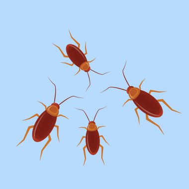 Böcek ve sinek sembolünün vektör çizimi. Web için sevimli ve komik stok arkaplanı koleksiyonu.