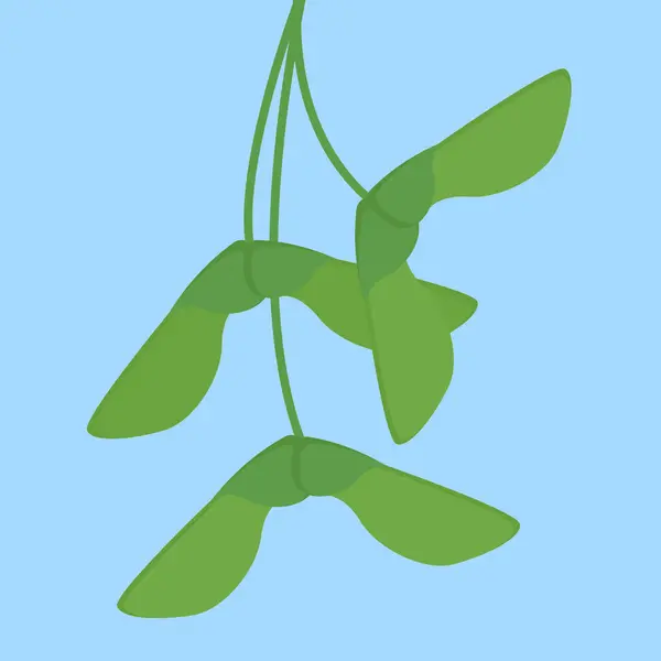 Branche Houblon Vert Sur Fond Bleu Illustration Vectorielle Plate — Image vectorielle