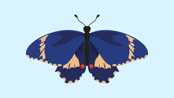 Butterfly Isolated Blue Background Vector Illustration Flat Style — Stock Vector