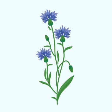 Mavi çiçek bitkisinin çizimi 