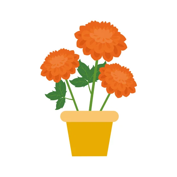 Illustration of orange flowers in yellow pot on white