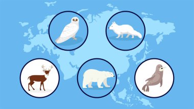 Çemberler içinde çeşitli kutup hayvanları simgeleri, vektör illüstrasyonu