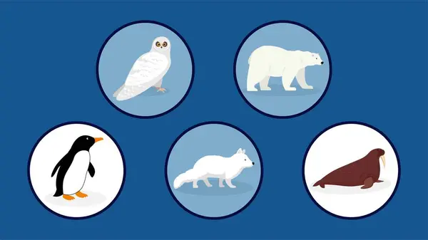 Sada Různých Antarktických Zvířat Ikon Kruzích Vektorové Ilustrace — Stockový vektor