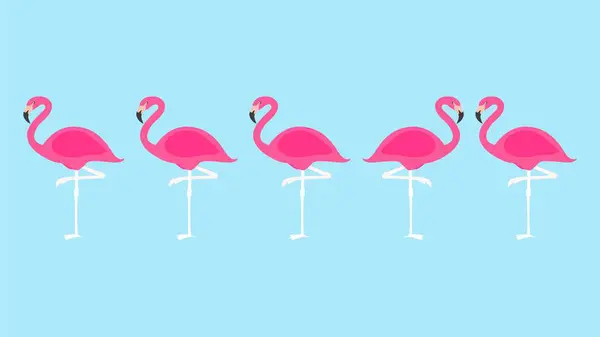 Set Schöner Rosa Flamingo Vektorillustration — Stockvektor