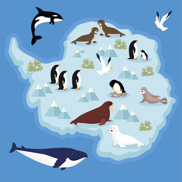 antarctica map with animals on blue background, vector illustration