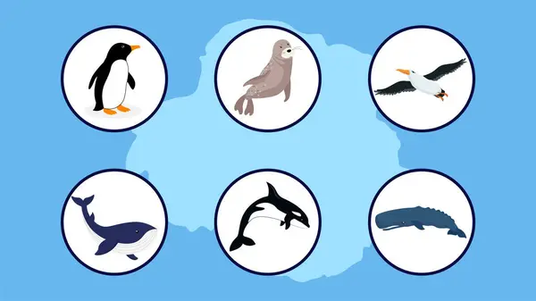 Conjunto Vários Ícones Animais Antártica Círculos Ilustração Vetorial — Vetor de Stock