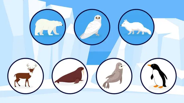 Набор Различных Иконок Антарктических Животных Кругах Векторная Иллюстрация — стоковый вектор
