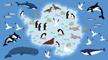 Hayvanların ve kutupların vektör illüstrasyonu