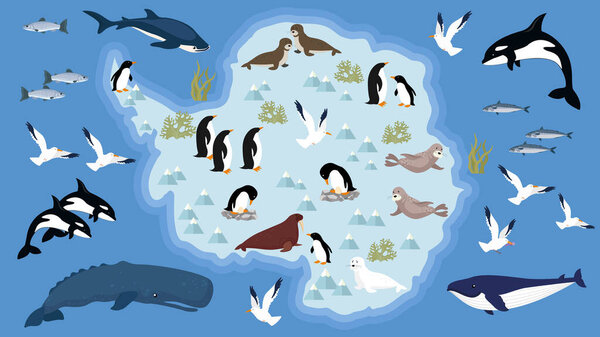 Vector illustration of animals and Arctic