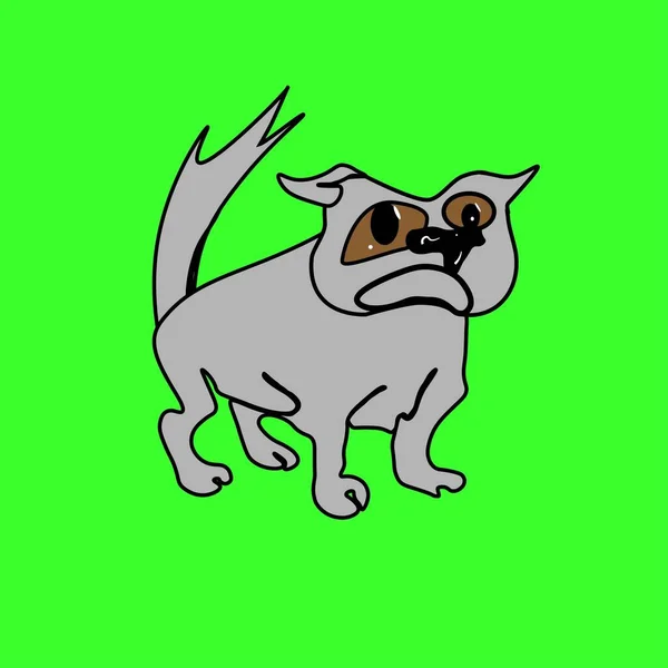 Ein Bild Eines Einfachen Kleinen Grauen Hundes Auf Hellgrünem Hintergrund — Stockfoto