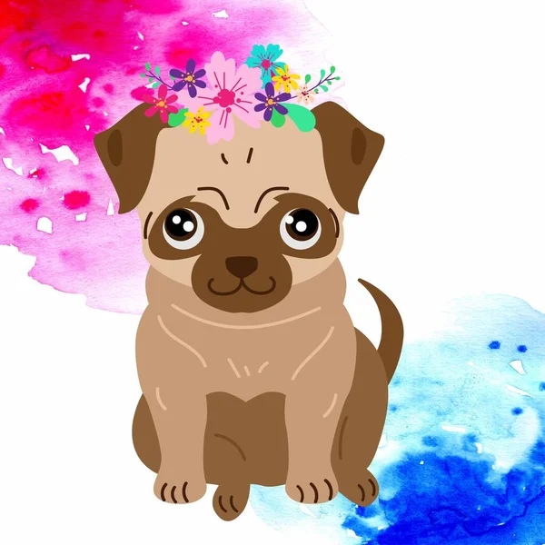 Picture Cute Pug Image Wreath Head Watercolor Pink Blue Background — Stock Photo, Image