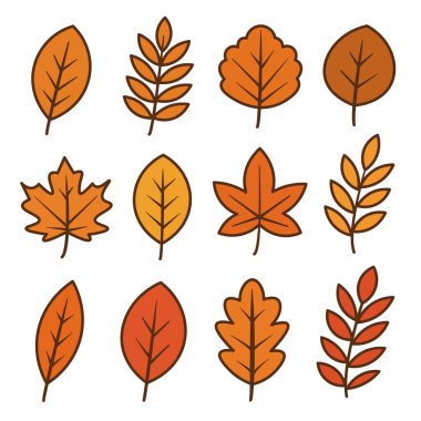 Turuncu ve sarı tonlarında çeşitli sonbahar yaprakları koleksiyonu. Yapraklar basit ana hatlar ve çeşitli şekillerle çizilmiş..