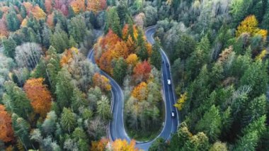 Dağlardaki güzel sonbahar ormanlarının hava manzarası. İnsansız hava aracından drone görünümü.
