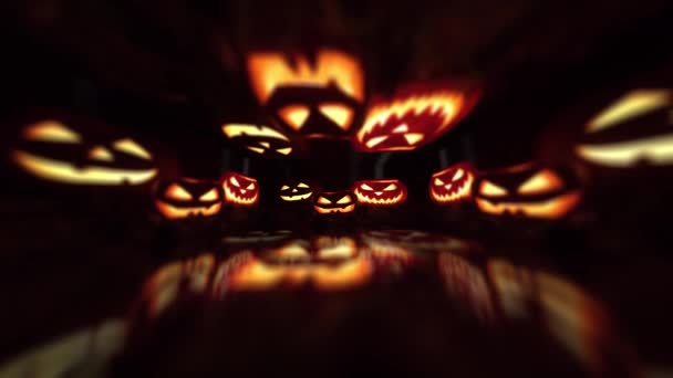 Halloween Pumpkins Animaci — Stock video